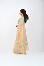 Ahum Saree - Ice Green Premium Geometric Motif Saree